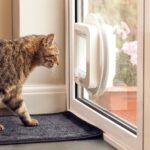 Southend Cat Flap Installation